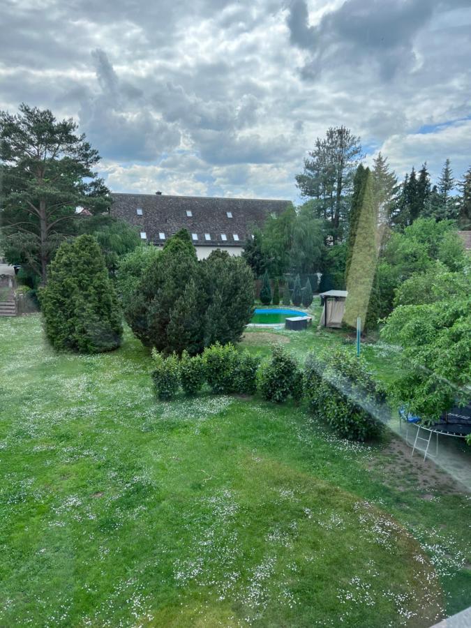 Ferienwohnung Bella In Heidenau Bei Dresden Dış mekan fotoğraf